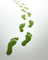 green footprint