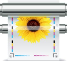 print sunflower