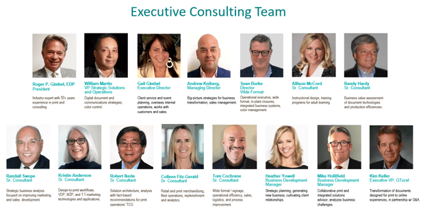 Consulting team