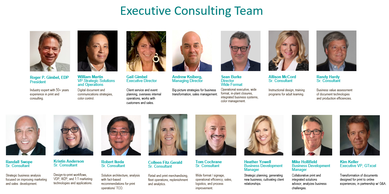Consulting team